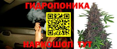скорость Заводоуковск